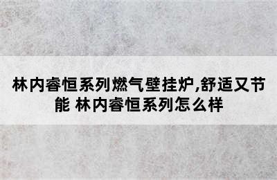 林内睿恒系列燃气壁挂炉,舒适又节能 林内睿恒系列怎么样